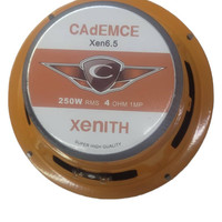 Midrange 8 inch Zenit model, Codems brand, 250 RMS