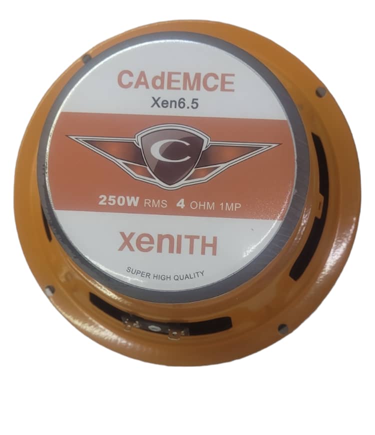 Midrange 8 inch Zenit model, Codems brand, 250 RMS